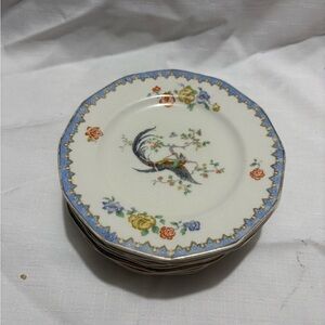 Vintage Floral Porcelain Dessert Plates - Set of 11